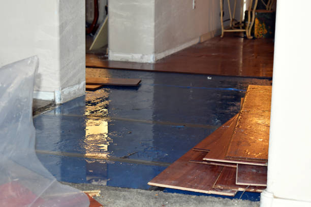 Professional Water Damage Restoration technician working in Sunset, TX